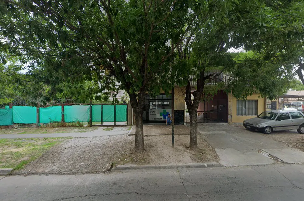 Frente de la veterinaria entre árboles, con el cartel blanco y la cruz verde en la puerta